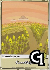 Cornfield (Orange Sky)